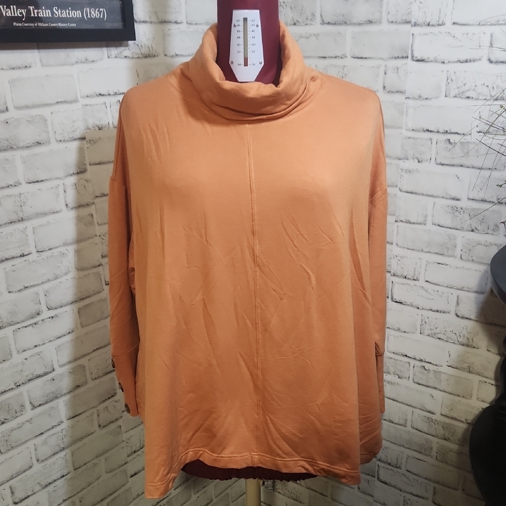 Sweatshirt Project SZ 1X Turleneck Sweatshirt